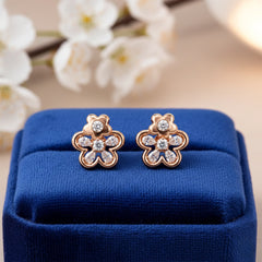 Golden Frost Stud Earrings